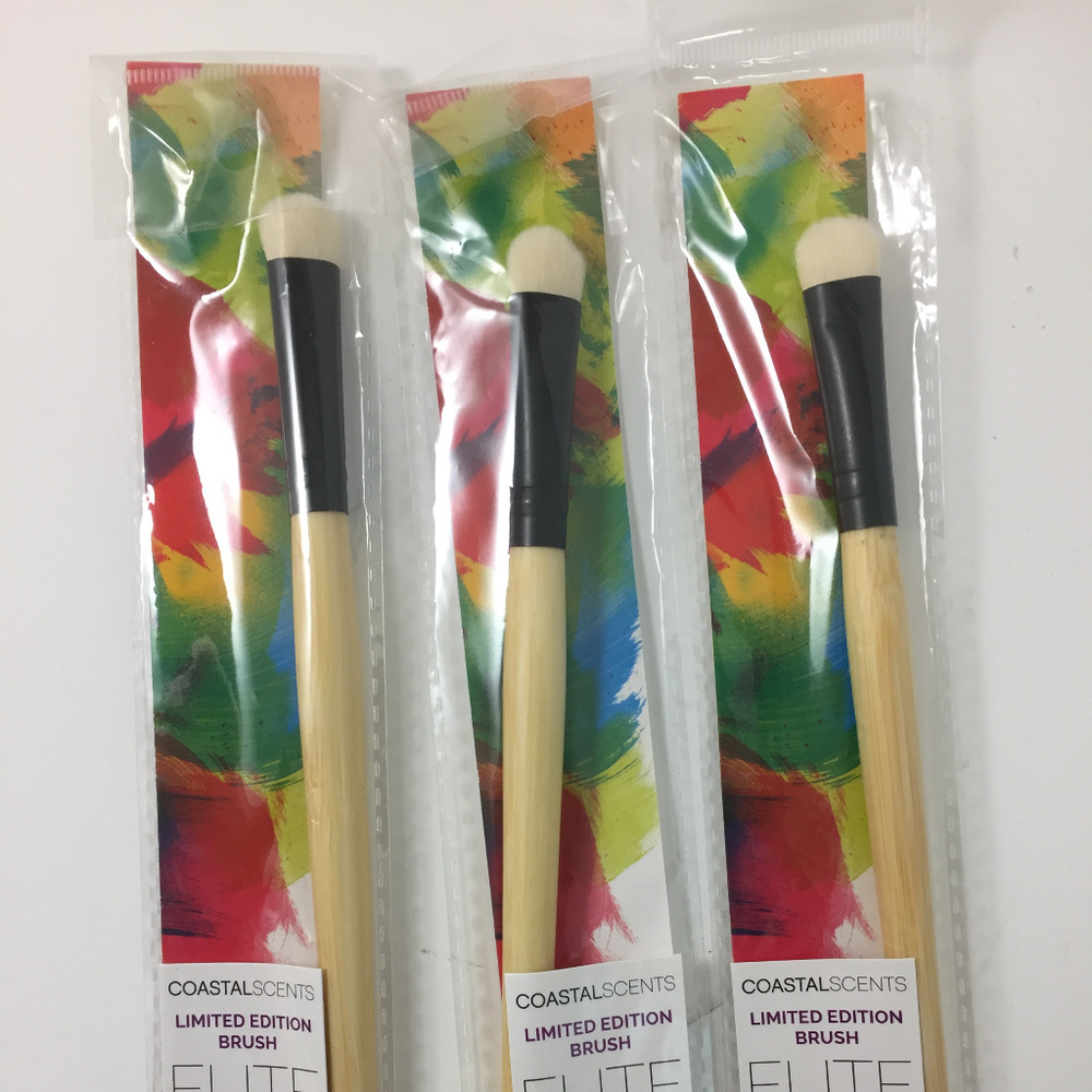 3 Coastal Scents Eye Shadow Brushes